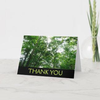 Tarjeta De Agradecimiento Mirando hacia arriba a los árboles de verano