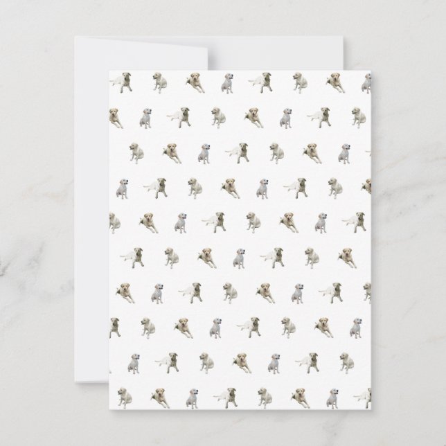 Tarjeta De Agradecimiento Modelo del labrador retriever (blanco) (Anverso)