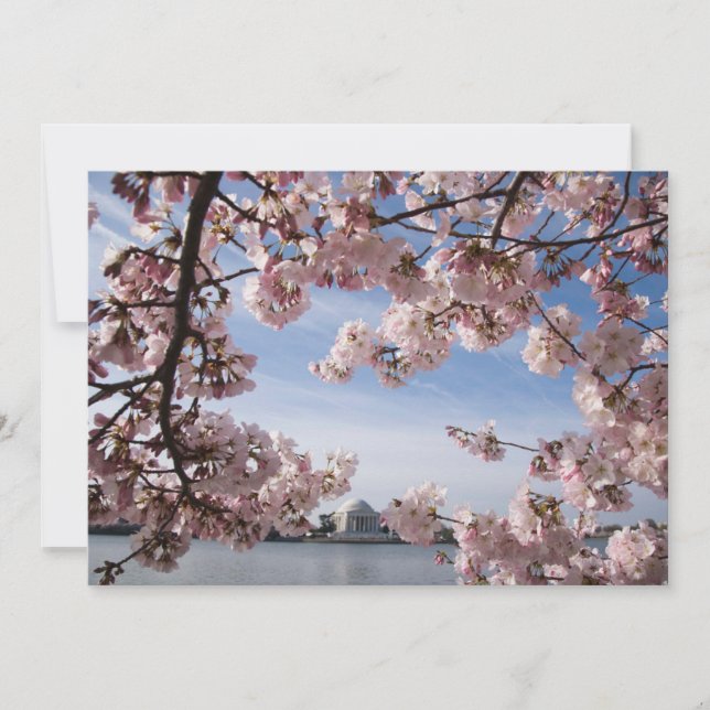 Tarjeta De Agradecimiento Monumentos | Flores de cerezo conmemorativas de Je (Anverso)