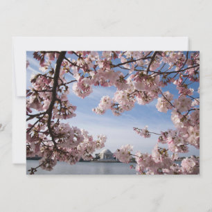 Tarjeta De Agradecimiento Monumentos   Flores de cerezo conmemorativas de Je