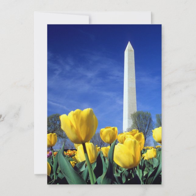 Tarjeta De Agradecimiento Monumentos | Monumento a Washington en primavera (Anverso)
