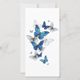 Tarjeta De Agradecimiento Morfo de las mariposas voladoras azules