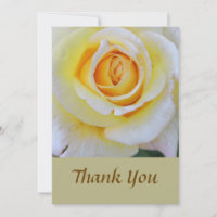 Movimiento de apertura Rosa Amarillo