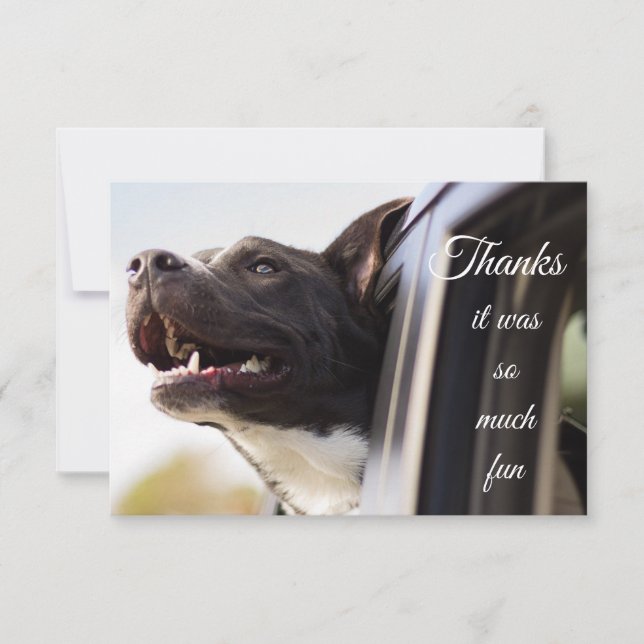 Tarjeta De Agradecimiento Muchas gracias por el divertido perro lindo fuera  (Anverso)