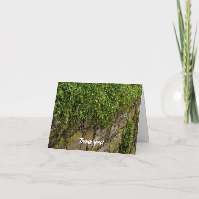Tarjeta De Agradecimiento Muro De Ivy (Anverso)