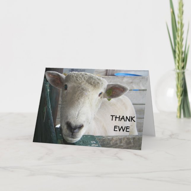 TARJETA DE AGRADECIMIENTO MUTTON MÁS QUE DECIR - GRACIAS EWE (Anverso)