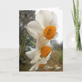 Tarjeta De Agradecimiento Narciso. Flor