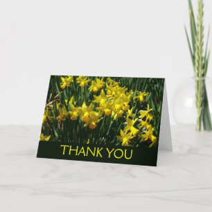 Tarjeta De Agradecimiento Narcisos Amarillos Flores Alegres de Primavera