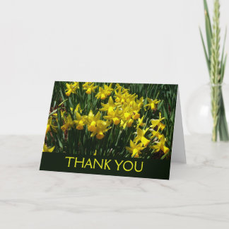 Tarjeta De Agradecimiento Narcisos Amarillos Flores Alegres de Primavera