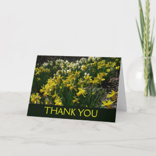 Tarjeta De Agradecimiento Narcisos amarillos y blancos Flores de primavera
