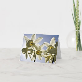 Tarjeta De Agradecimiento Narcissen die bloeien met een lente blauwe lucht 