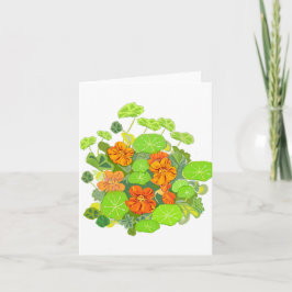 Tarjeta De Agradecimiento Nasturtiums Blank Notecard