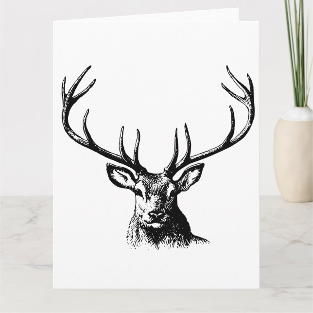 Tarjeta De Agradecimiento Naturaleza de las Antillas Animales de Cerveza Cab (Anverso)