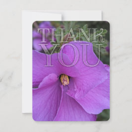Tarjeta De Agradecimiento Naturaleza Morado Hibiscus Flower Gracias