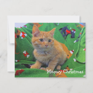 Tarjeta De Agradecimiento Navidad Gatuna