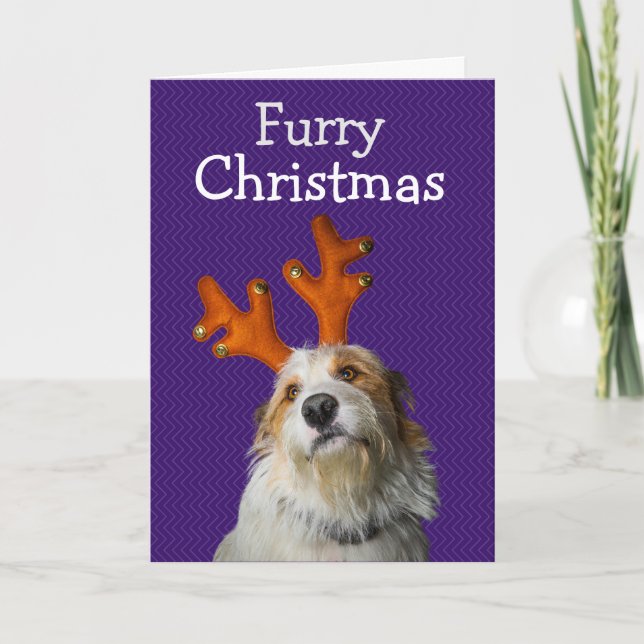 Tarjeta De Agradecimiento Navidad peluda desde el perro (Anverso)