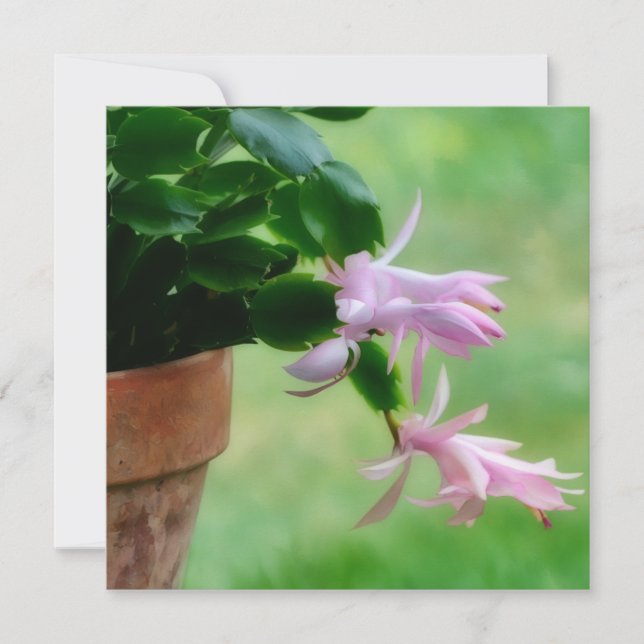 Tarjeta De Agradecimiento Navidades Cactus Orchid Flower Art Note Card (Anverso)