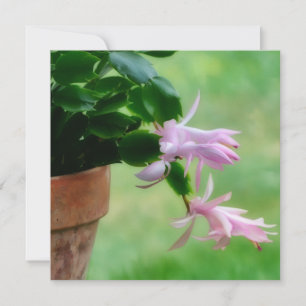 Tarjeta De Agradecimiento Navidades Cactus Orchid Flower Art Note Card