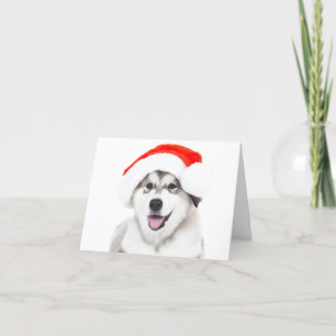 TARJETA DE AGRADECIMIENTO NAVIDADES CARTAN HUSKY PUPPY CON UN SOMBRERO SANTA