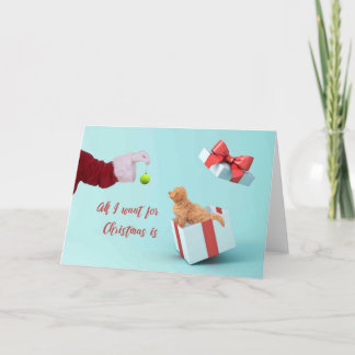 Tarjeta De Agradecimiento Navidades con cupón
