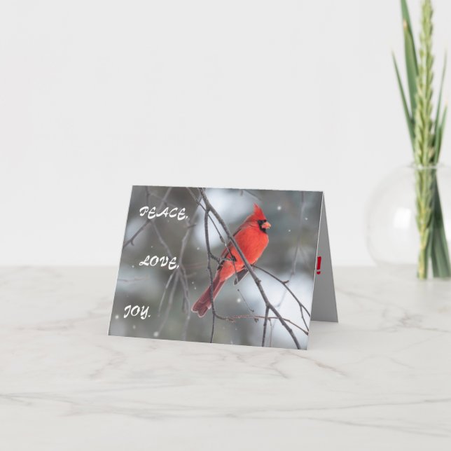 Tarjeta De Agradecimiento Navidades de Maravillas saludan al cardenal de la  (Anverso)