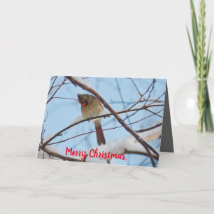 Tarjeta De Agradecimiento Navidades de Maravillas Silenciosas Cardenales Fem