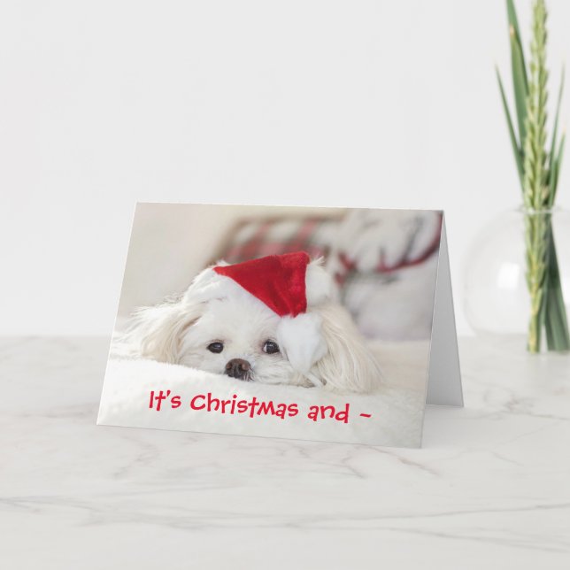 TARJETA DE AGRADECIMIENTO NAVIDADES POOCH MISS YOU CARD (Anverso)