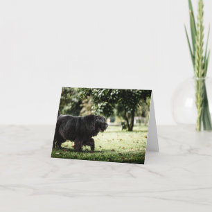 Tarjeta De Agradecimiento neonosfland negro en movimiento