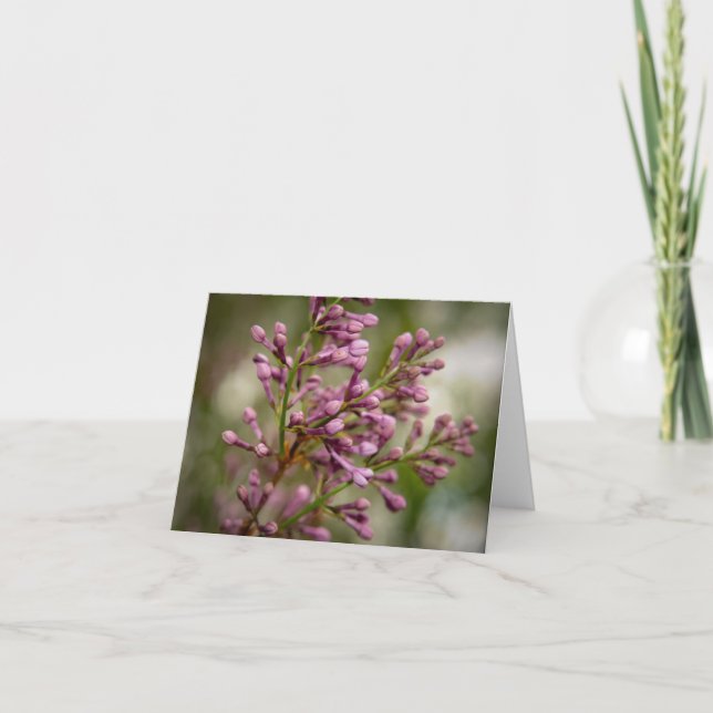 Tarjeta De Agradecimiento New Mexico Garden (Anverso)