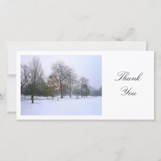 Tarjeta De Agradecimiento Nieve en el parque - Gracias