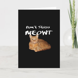 Tarjeta De Agradecimiento No enfades a Meowt - un gato Naranja me estresa