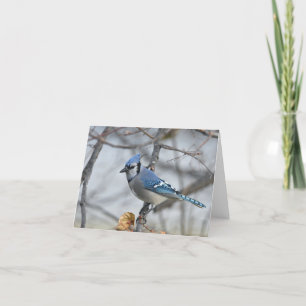 Tarjeta De Agradecimiento Notecard en blanco azul.