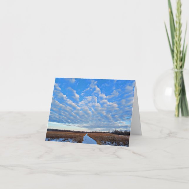 Tarjeta De Agradecimiento Notecard en blanco de la escena del invierno. (Anverso)