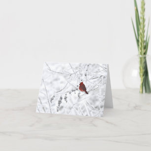 Tarjeta De Agradecimiento Notecard en blanco del cardenal de invierno
