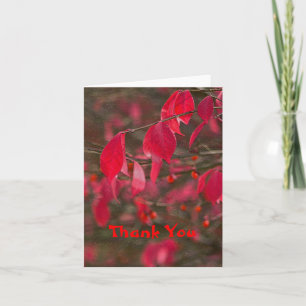 TARJETA DE AGRADECIMIENTO NOTECARD, "GRACIAS" HOJAS ROJAS