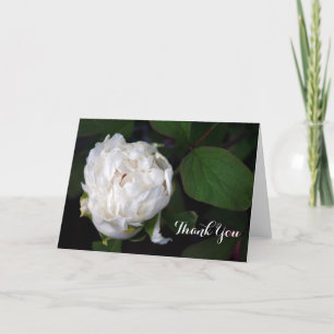 Tarjeta De Agradecimiento Nuevas fotos florales de Peony Blanco Gracias Cart