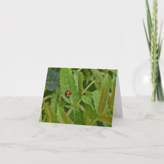 Tarjeta De Agradecimiento Nutecard en blanco de insectos.
