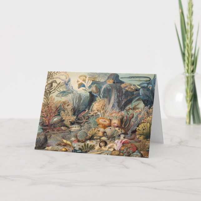 Tarjeta De Agradecimiento Ocean World, Under the Sea, Nautical (Anverso)