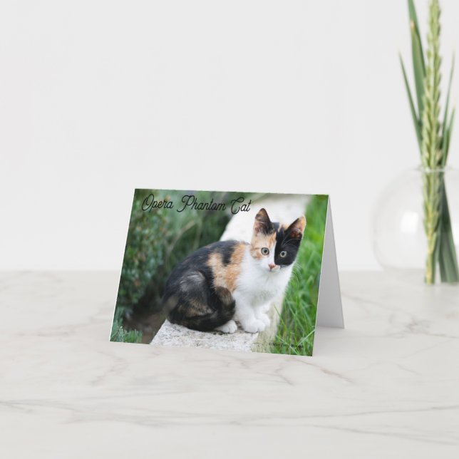 Tarjeta De Agradecimiento Opera Gato fantasma (Anverso)