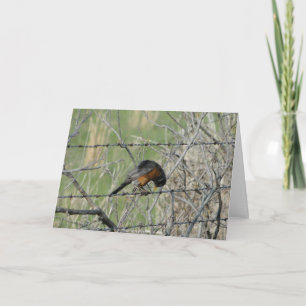 Tarjeta De Agradecimiento Oración de primavera, Robin