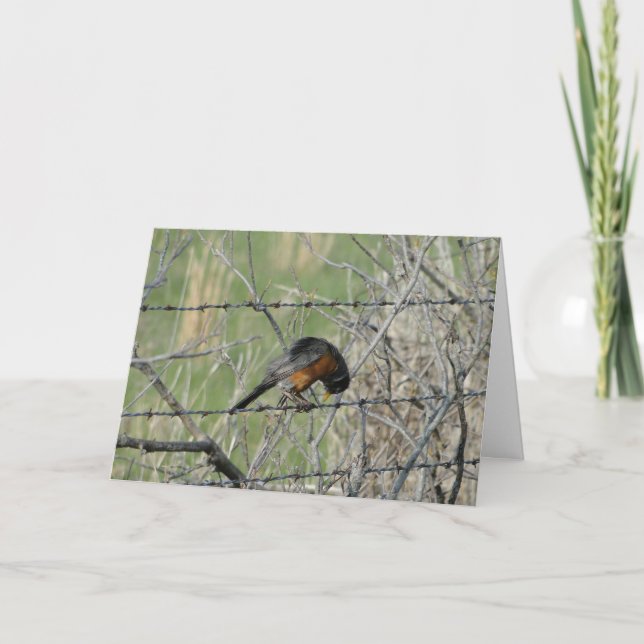 Tarjeta De Agradecimiento Oración de primavera, Robin (Anverso)