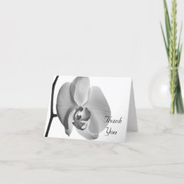 Tarjeta De Agradecimiento Orquídea Blanca Gracias