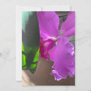 Tarjeta De Agradecimiento Orquídea Lujuriosa