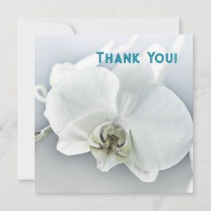 Tarjeta De Agradecimiento Orquídea Phalaenopsis Blanca