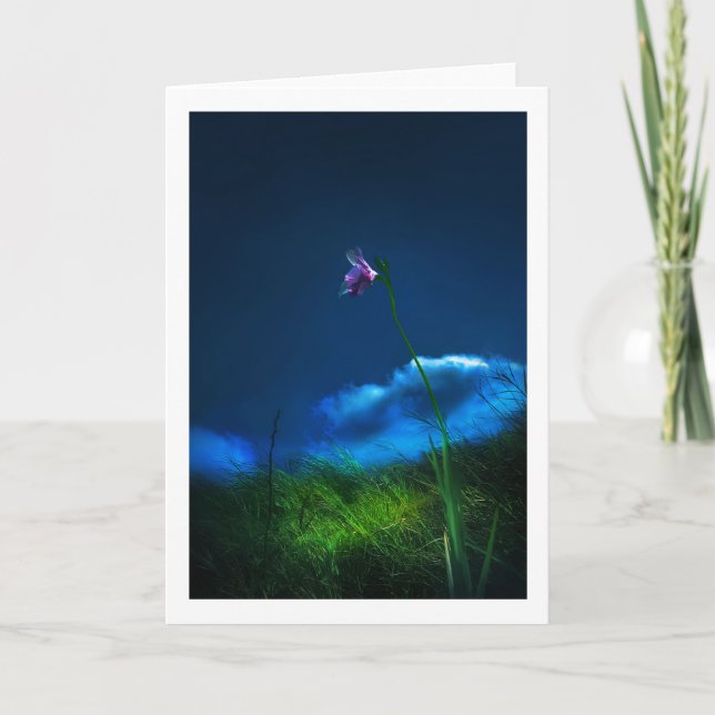 Tarjeta De Agradecimiento Orquídea silvestre GUAM (Anverso)