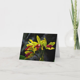 Tarjeta De Agradecimiento Orquídeas