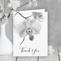 Orquídeas blancas negras en solidaridad con los st