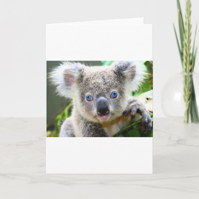 Tarjeta De Agradecimiento Oso Koala Lindo (Anverso)