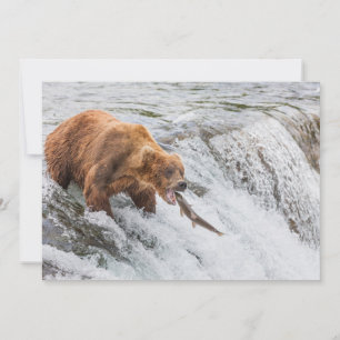 Tarjeta De Agradecimiento Oso pardo atrapa salmón rojo