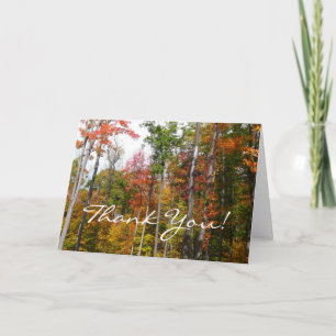 Tarjeta De Agradecimiento Otoño en el bosque Fotografía colorida de otoño